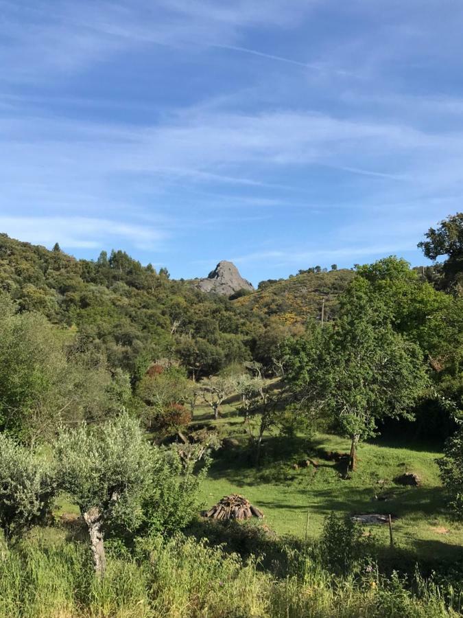 Azeite De Marvao, Olivoturismo Casa Mestre Do Lagar Holiday home